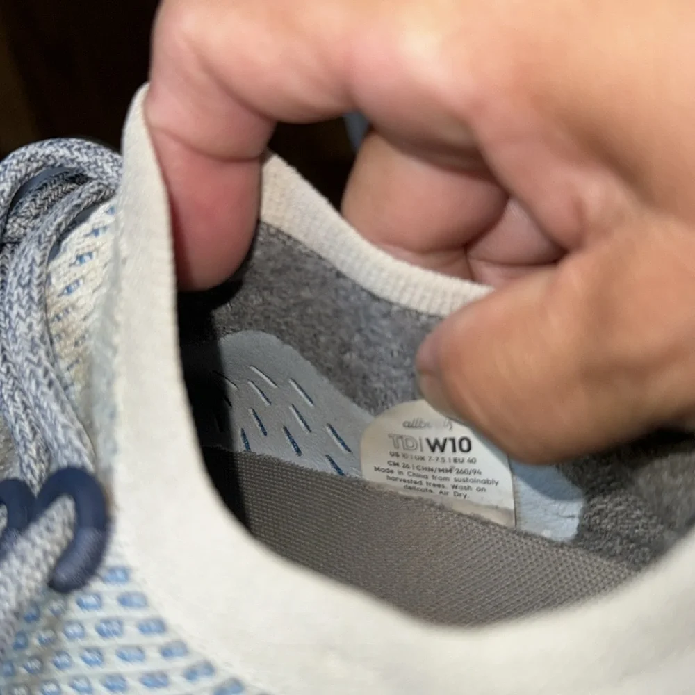 Allbirds True Dasher Wool Rubbing Sneaker Shoes